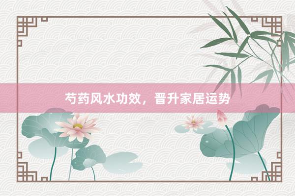 芍药风水功效，晋升家居运势