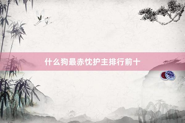 什么狗最赤忱护主排行前十